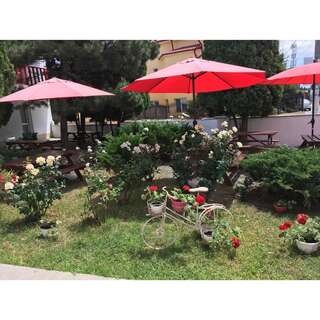 Хостелы Vila Iunona Costineşti-6